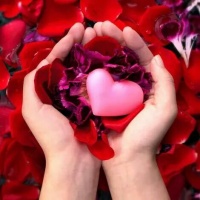 سوده 82
