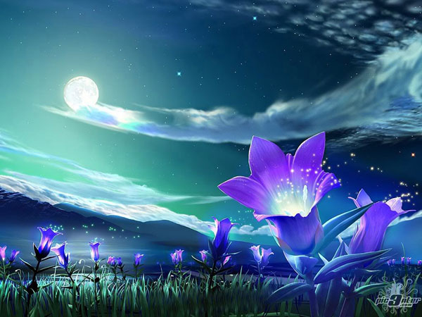 3d_new_wallpapers_002.jpg
